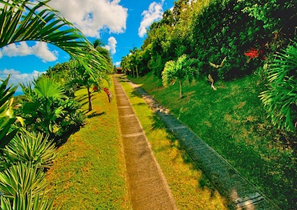 Morne Jaloux Estate Grounds