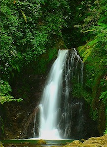 Grenada Waterfall